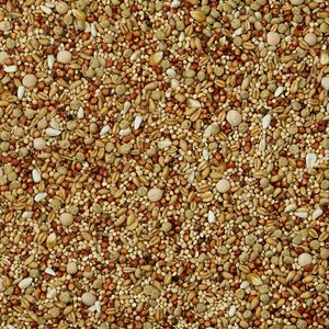 Kaytee Supreme Dove Food, 5-lb bag