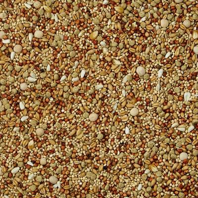 Show full view: Kaytee Supreme Dove Food, 5-lb bag slide 3 of 7