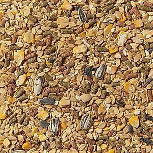 Kaytee Supreme Fortified Daily Diet Gerbil & Hamster Food, 2-lb bag