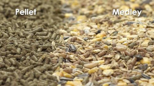 Show full view: Kaytee Supreme Fortified Daily Diet Gerbil & Hamster Food, 2-lb bag slide 5 of 10