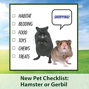Kaytee Supreme Fortified Daily Diet Gerbil & Hamster Food, 2-lb bag