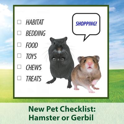 Show full view: Kaytee Supreme Fortified Daily Diet Gerbil & Hamster Food, 2-lb bag slide 7 of 10