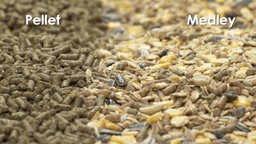 Show full view: Kaytee Supreme Fortified Daily Diet Mouse & Rat Food, 20-lb bag slide 6 of 12