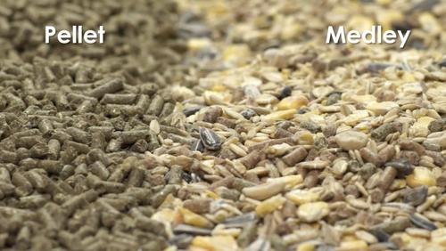 Show full view: Kaytee Supreme Fortified Daily Diet Mouse & Rat Food, 4-lb bag slide 6 of 12