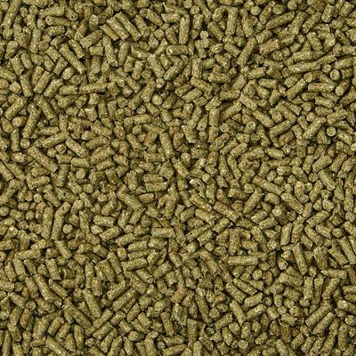 Show full view: Kaytee Supreme Fortified Daily Diet Rabbit Food, 10-lb bag slide 2 of 10