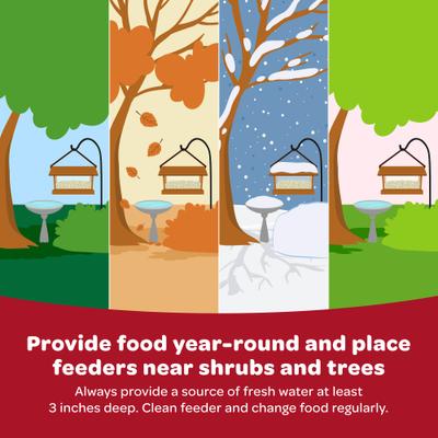 Show full view: Kaytee Supreme Peanuts Wild Bird Food, 2-lb bag slide 9 of 10