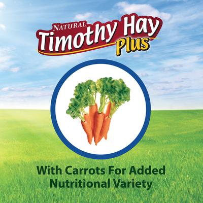 Show full view: Kaytee Timothy Hay Plus Carrots Small Animal Food, 24-oz bag slide 6 of 11