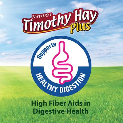 Show full view: Kaytee Timothy Hay Plus Carrots Small Animal Food, 24-oz bag slide 7 of 11