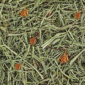 Kaytee Timothy Hay Plus Marigolds Small Animal Treat, 24-oz bag