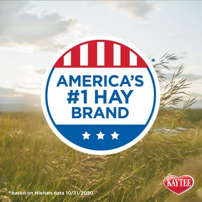 Show full view: Kaytee Timothy Hay Plus Mint Small Animal Food, 24-oz bag slide 7 of 11