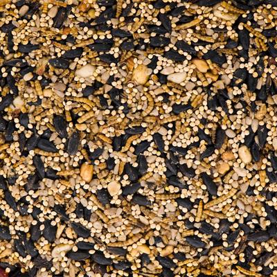 Show full view: Kaytee Trail Mix Seed Cake Wild Bird Food, 1 count slide 3 of 11