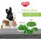 Show in main carousel: Kaytee Treat Stick with Superfoods Spinach & Kale Flavor Small Animal Treats, 5.5-oz bag slide 7 of 11