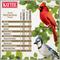 Show in main carousel: Kaytee Ultimate No Mess Blend Wild Bird Food, 9.75-lb bag slide 4 of 10