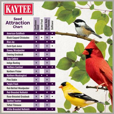 Show full view: Kaytee Ultimate Nut & Fruit Wild Bird Food, 9.75-lb bag slide 6 of 9