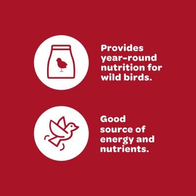 Show full view: Kaytee Ultra Wild Finch Blend Super Sock Bird Food, 25-oz bag slide 4 of 10