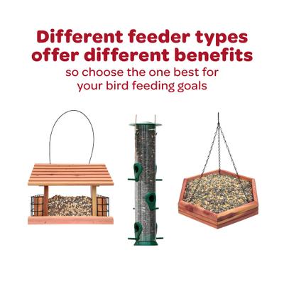 Show full view: Kaytee Ultra Wild Finch Wild Bird Food, 7-lb bag slide 8 of 11