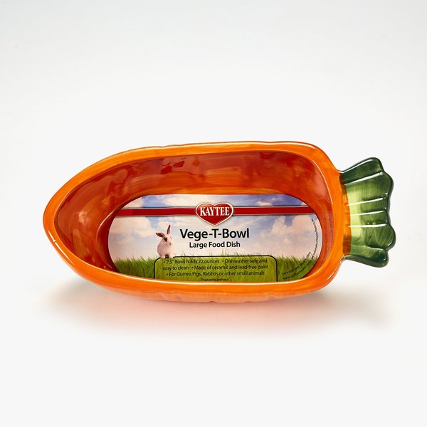 Kaytee Vege-T-Bowl Carrot Small Pet Bowl, 22-oz