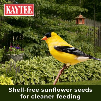 Show full view: Kaytee Waste Free Finch Blend Wild Bird Food, 8-lb bag slide 7 of 10