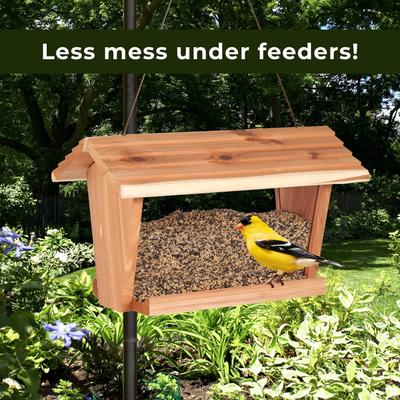 Show full view: Kaytee Waste Free Finch Blend Wild Bird Food, 8-lb bag slide 8 of 10