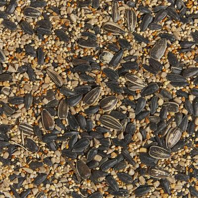 Show full view: Kaytee Western Regional Blend Wild Bird Food, 7-lb bag slide 4 of 10