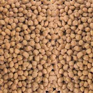 Kaytee Wild Bird Peanut Suet Nuggets, 27-oz bag