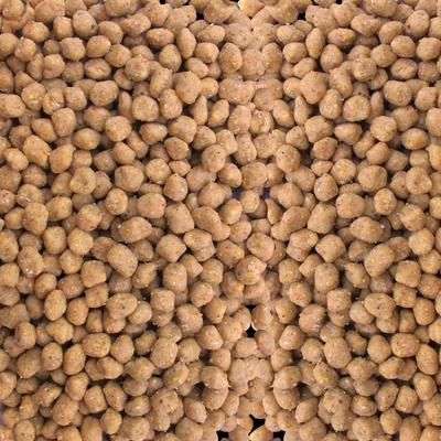 Show full view: Kaytee Wild Bird Peanut Suet Nuggets, 27-oz bag slide 3 of 3