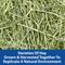 Show in main carousel: Kaytee Wild Meadow Hay Blend Rabbit Food, 24-oz bag slide 3 of 10