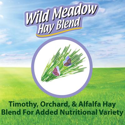 Show full view: Kaytee Wild Meadow Hay Blend Rabbit Food, 24-oz bag slide 5 of 10
