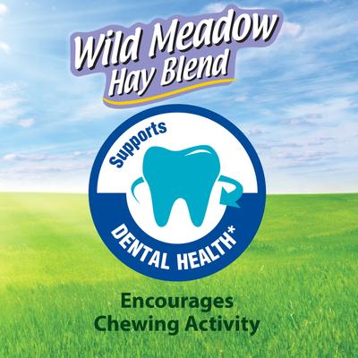 Show full view: Kaytee Wild Meadow Hay Blend Rabbit Food, 24-oz bag slide 7 of 10