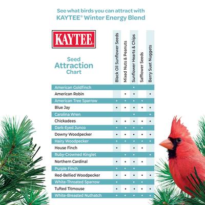 Show full view: Kaytee Winter Energy Blend Seed Wild Bird Food, 8-lb bag slide 4 of 9