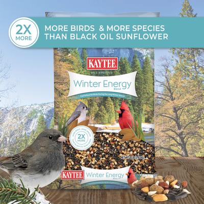 Show full view: Kaytee Winter Energy Blend Seed Wild Bird Food, 8-lb bag slide 2 of 9