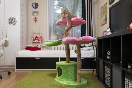 Show full view: KBSPETS Floral 45-in Sisal Cat Tree, Azalea slide 4 of 13