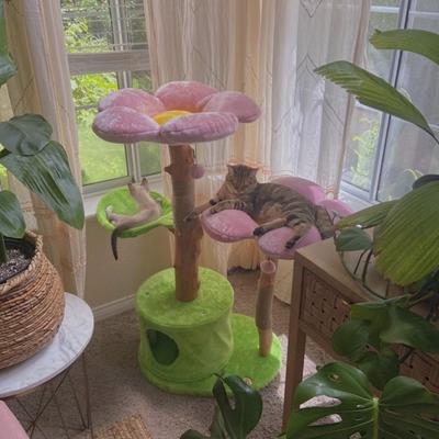 Show full view: KBSPETS Floral 45-in Sisal Cat Tree, Cherry Blossom slide 2 of 12