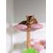 Show in main carousel: KBSPETS Floral 45-in Sisal Cat Tree, Cherry Blossom slide 6 of 12