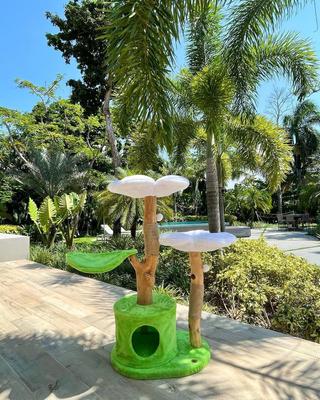 Show full view: KBSPETS Floral 45-in Sisal Cat Tree, Daisy slide 3 of 13