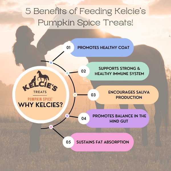 Show full view: Kelcie's Pumpkin Spice Low Sugar Horse Treats, 8-oz bag slide 5 of 8