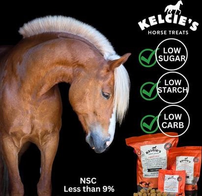 Show full view: Kelcie's Pumpkin Spice Low Sugar Horse Treats, 8-oz bag slide 3 of 7