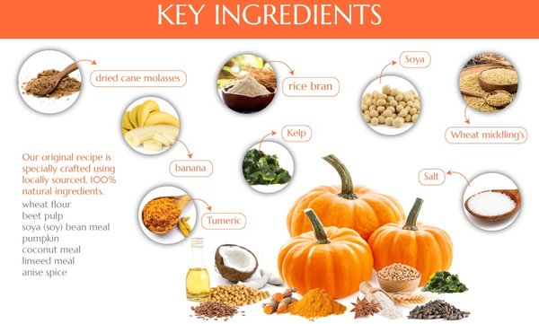 Show full view: Kelcie's Pumpkin Spice Low Sugar Horse Treats, 8-oz bag slide 3 of 8
