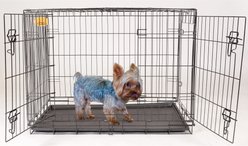 KennelMaster Folding Dog Kennel Crate, Black, 24-in x 17-in x 19-in