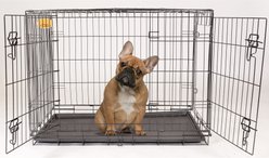 KennelMaster Folding Dog Kennel Crate, Black, 36-in x 23-in x 26-in