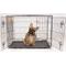 Show in main carousel: KennelMaster Folding Dog Kennel Crate, Black, 36-in x 23-in x 26-in slide 1 of 10