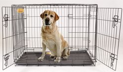 KennelMaster Folding Dog Kennel Crate, Black, 42-in x 28-in x 30-in