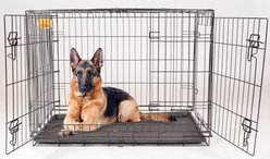 KennelMaster Folding Dog Kennel Crate, Black, 48-in x 30-in x 33-in