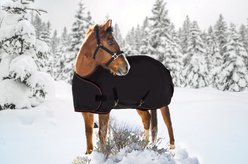 Kensington Protective Products Signature Adjustable Yearling Horse Turnout Blanket, Black, 50-58-in