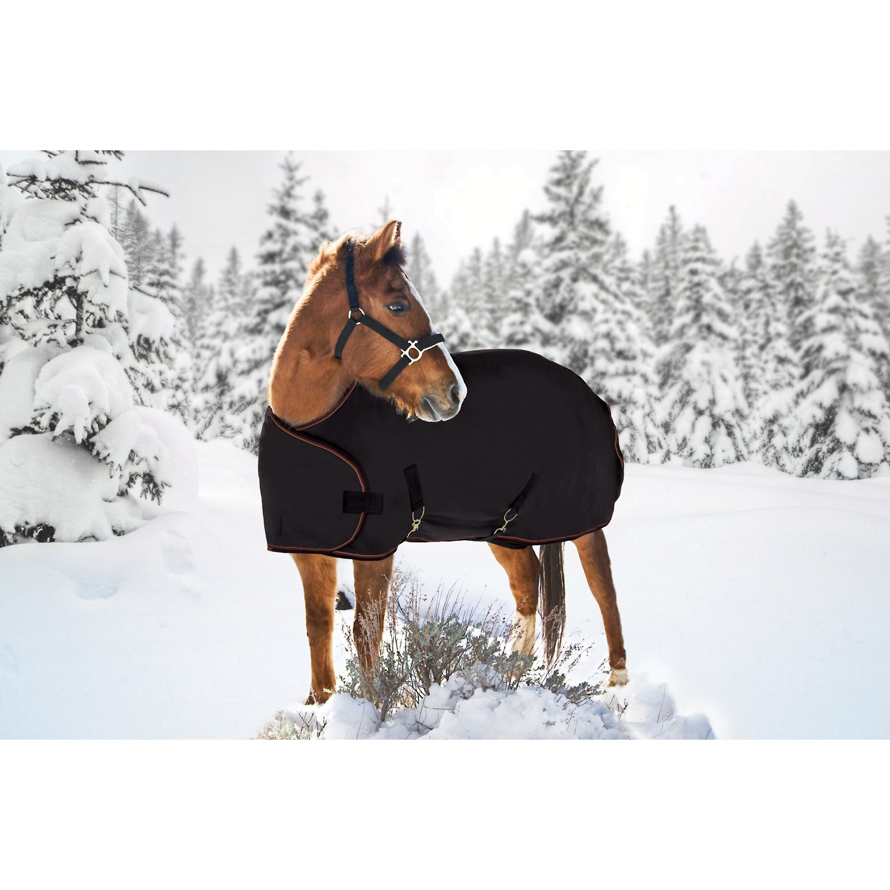 Kensington Protective Products Signature Adjustable Yearling Horse Turnout Blanket, 60-68-in, Black