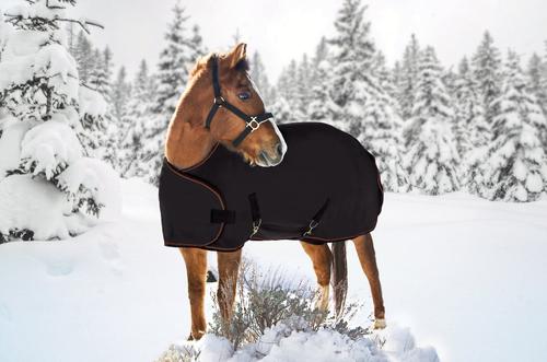 Show full view: Kensington Protective Products Signature Adjustable Yearling Horse Turnout Blanket, 60-68-in, Black slide 1 of 2