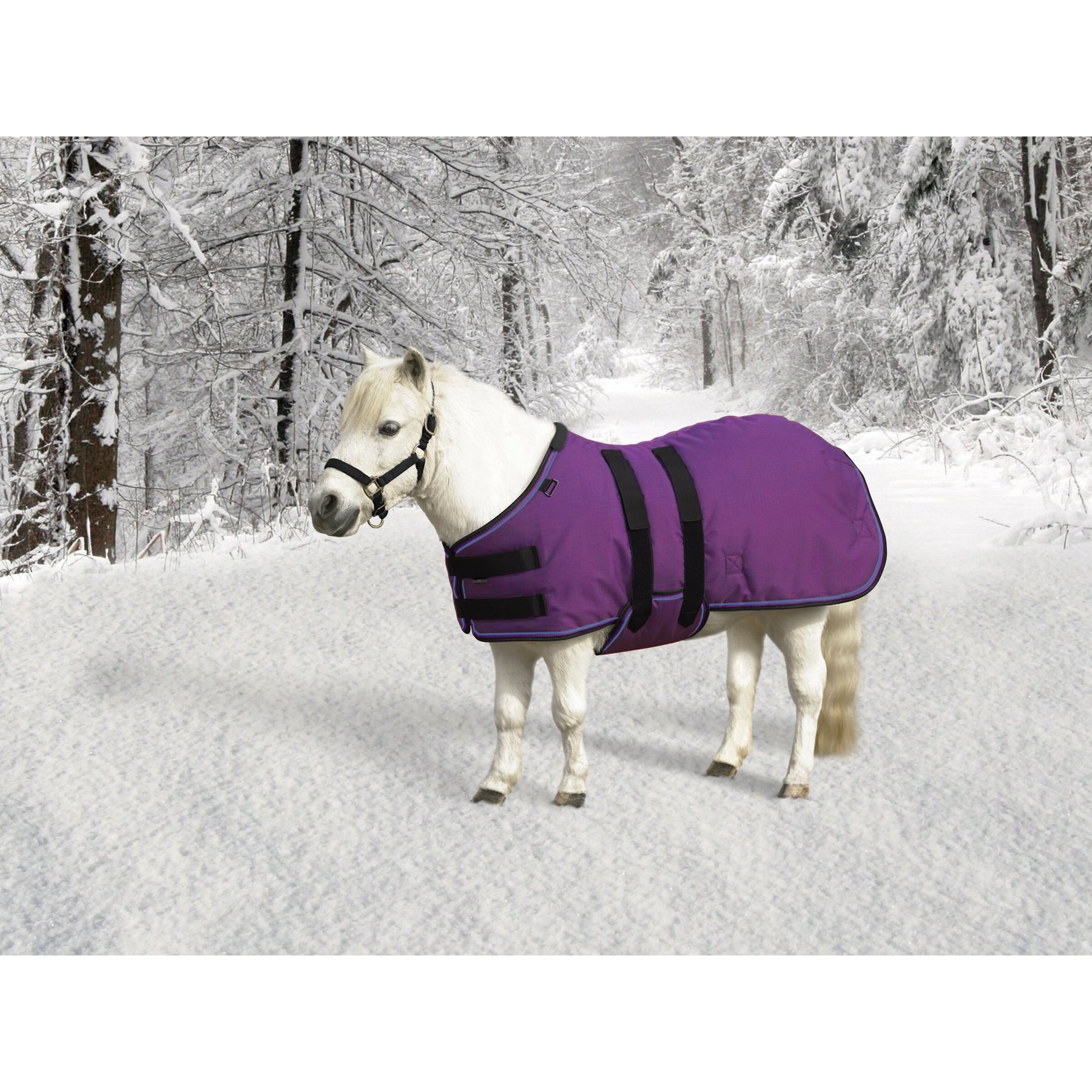 Kensington Protective Products Signature Light Weight Horse Turnout Blanket, 50-in, Purple