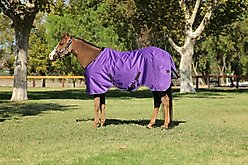 Kensington Protective Products Signature Light Weight Horse Turnout Blanket, 60-in, Purple