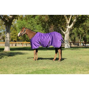 Kensington Protective Products Signature Medium Weight Horse Turnout Blanket, 66-in, Purple
