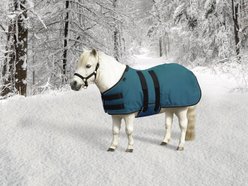 Kensington Protective Products Signature Light Weight Mini Horse Turnout Blanket, 46-in, Harbor